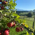 Alpesi faház Z Widokiem Na Tatry *