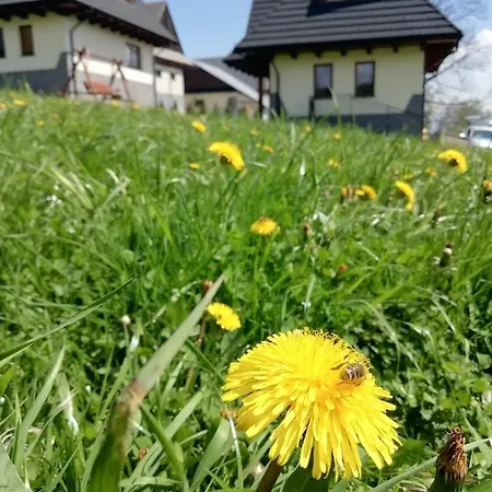 Z Widokiem Na Tatry Chalet Bańska