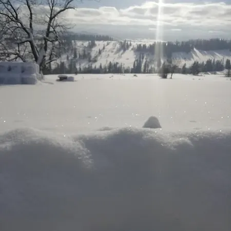 Z Widokiem Na Tatry