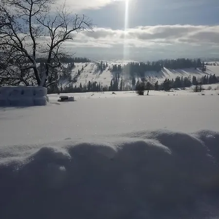 Z Widokiem Na Tatry Alpehytte