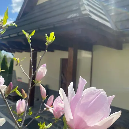 Z Widokiem Na Tatry *