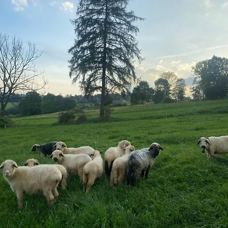 Z Widokiem Na Tatry *