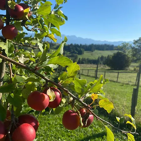 Dağ evi Z Widokiem Na Tatry *