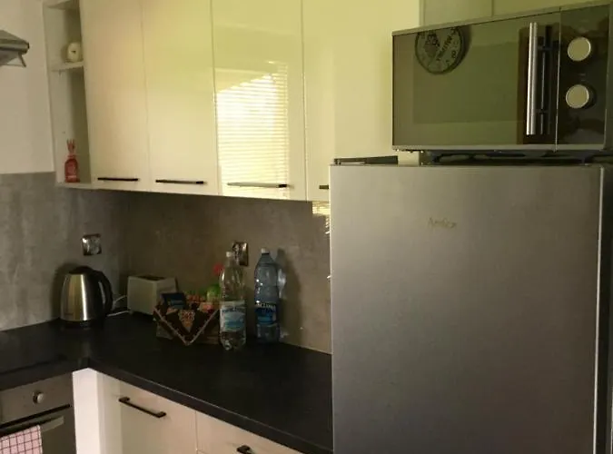 Z Widokiem Na Tatry シャレー Bańska