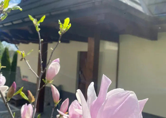 Z Widokiem Na Tatry *