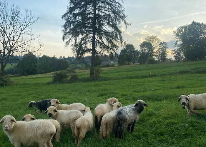 Z Widokiem Na Tatry *