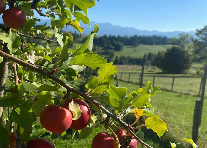 Chalet Z Widokiem Na Tatry *