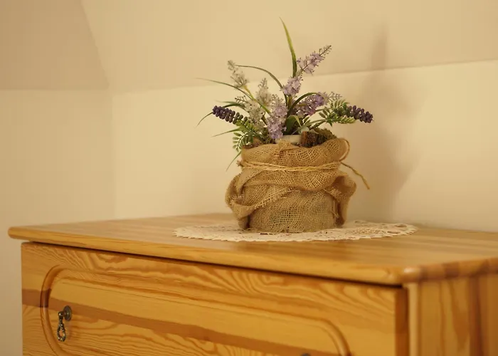 Z Widokiem Na Tatry シャレー